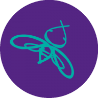 custom_website